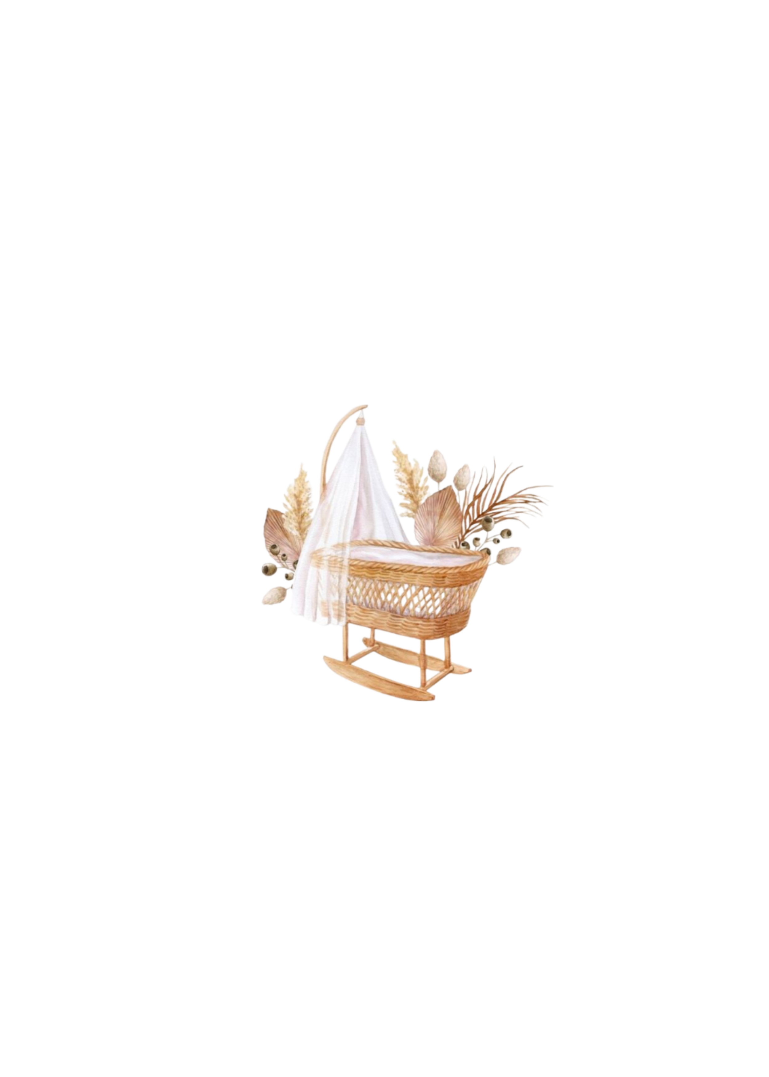 rotan